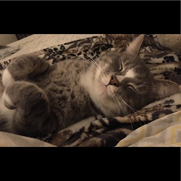 Meet your Posher, Tambra - Picture 6 of 8